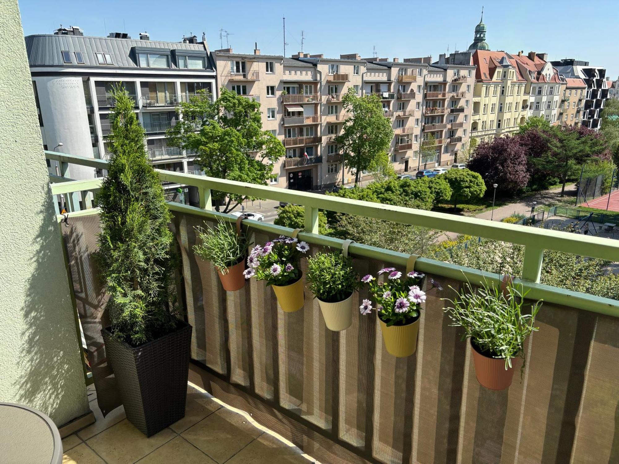 Apartament Wilda Poznan Dış mekan fotoğraf